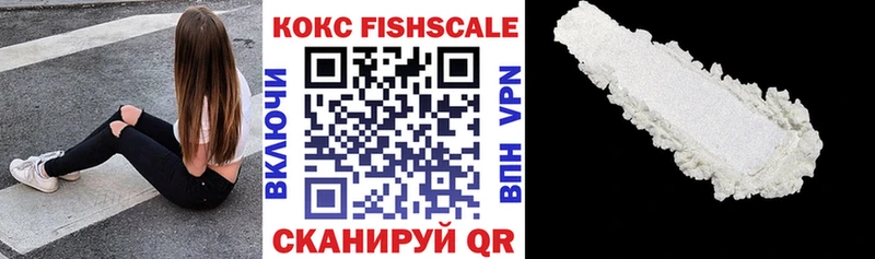 купить закладку  Петрозаводск  COCAIN Fish Scale 