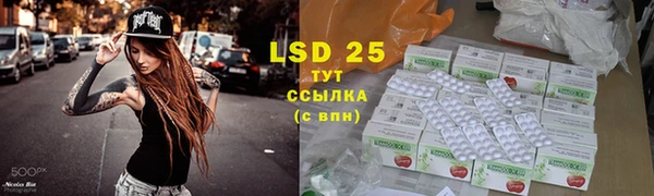 ПСИЛОЦИБИНОВЫЕ ГРИБЫ Верхний Тагил