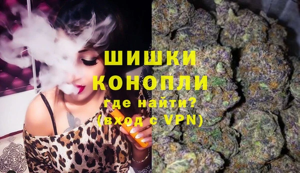 ПСИЛОЦИБИНОВЫЕ ГРИБЫ Верхний Тагил