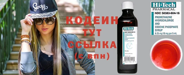 ПСИЛОЦИБИНОВЫЕ ГРИБЫ Верхний Тагил