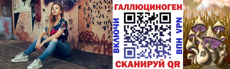 Псилоцибиновые грибы Psilocybe  магазин продажи наркотиков  Петрозаводск 